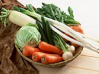 スカイバンド カラー 500g 40袋入/CS